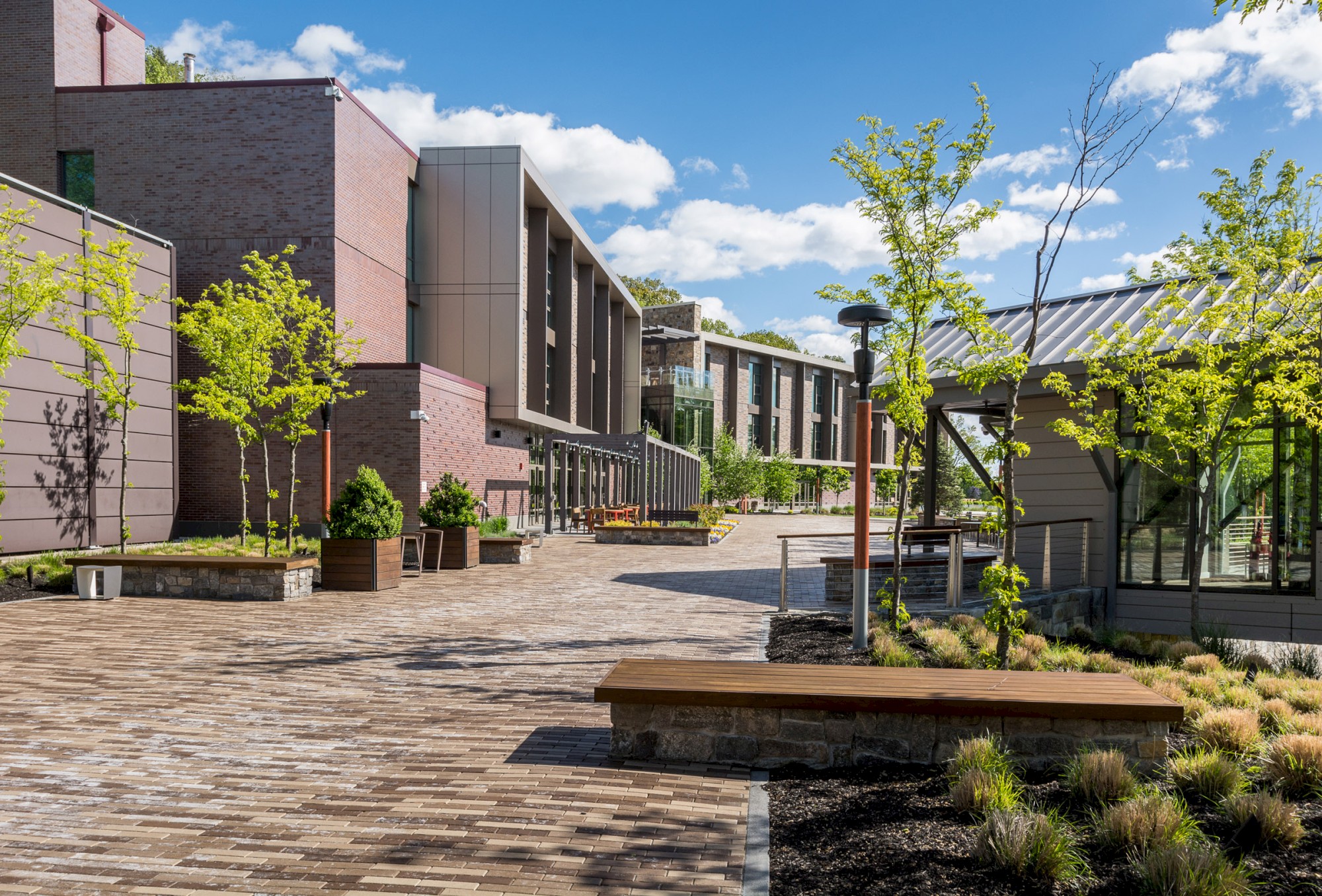 A modern urban courtyard with brick pathways, benches, young trees, and contemporary buildings under a bright blue sky with scattered clouds.