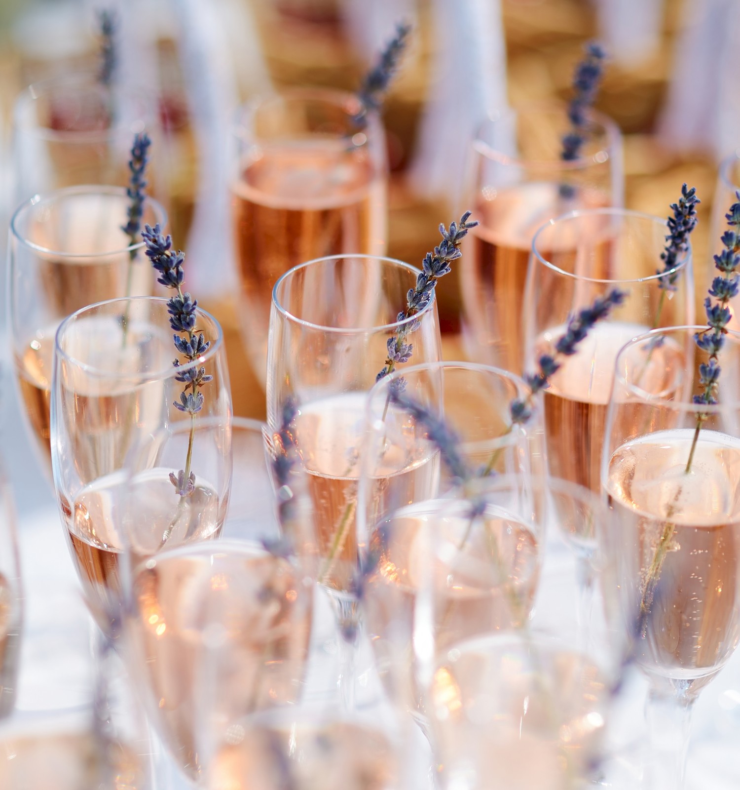 Glasses of rosé champagne with lavender sprigs as garnish, arranged on a table, capturing a festive and elegant atmosphere.